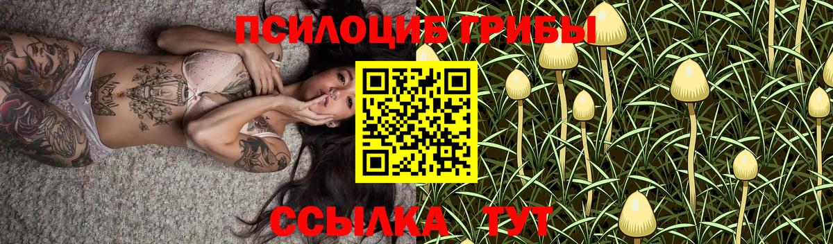 закладки  Псилоцибиновые грибы GOLDEN TEACHER  Вход с VPN  Белогорск 